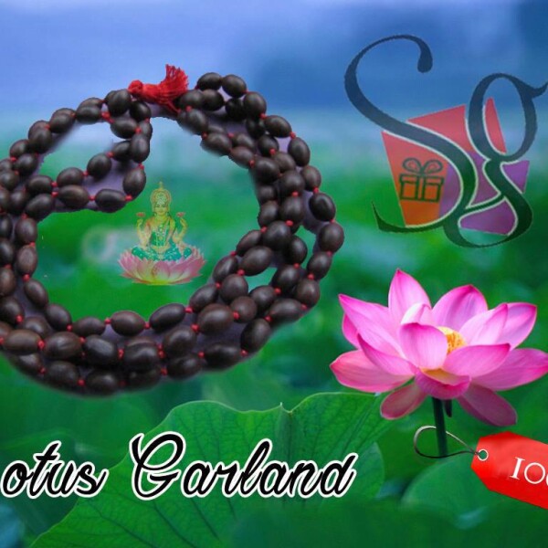 Lotus seed Mala