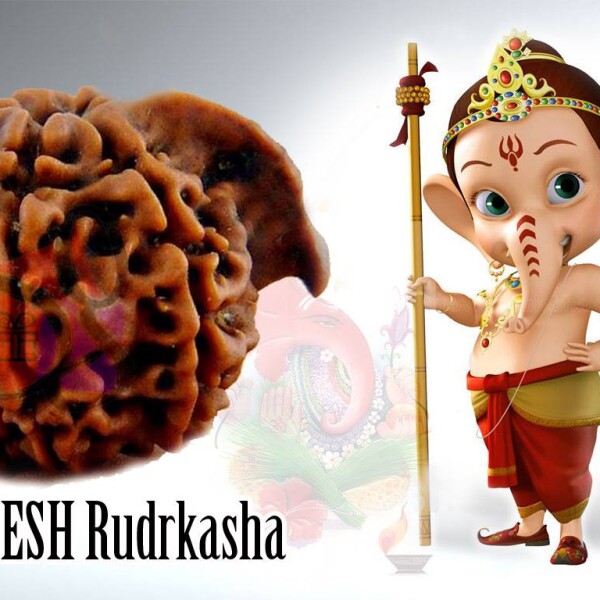 Ganesha rudraksha Singapore