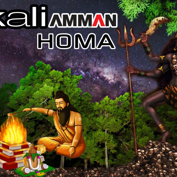 kali homa singapore