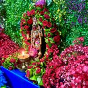 hanuman best homa